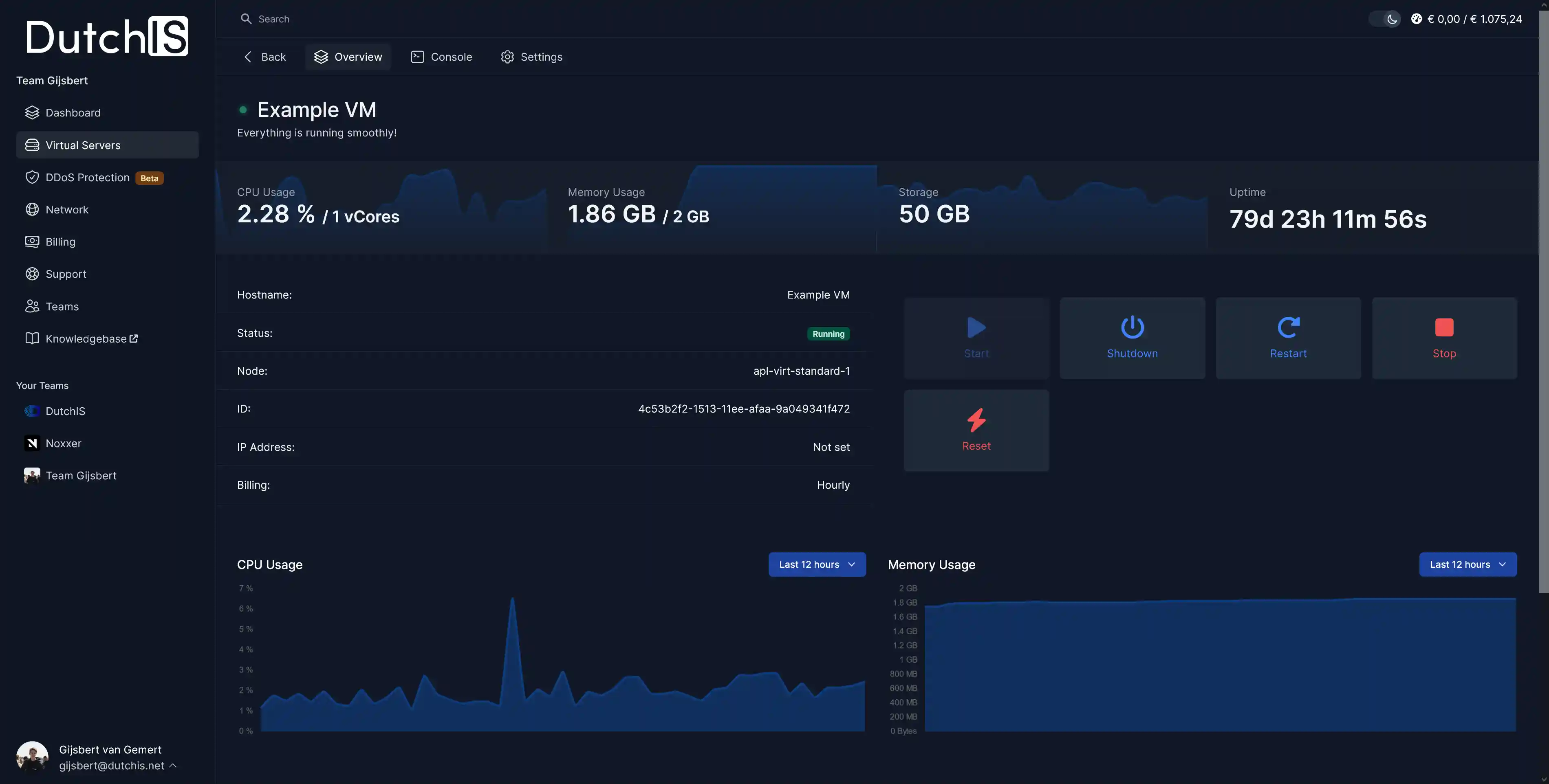 The overview page of a virtual server