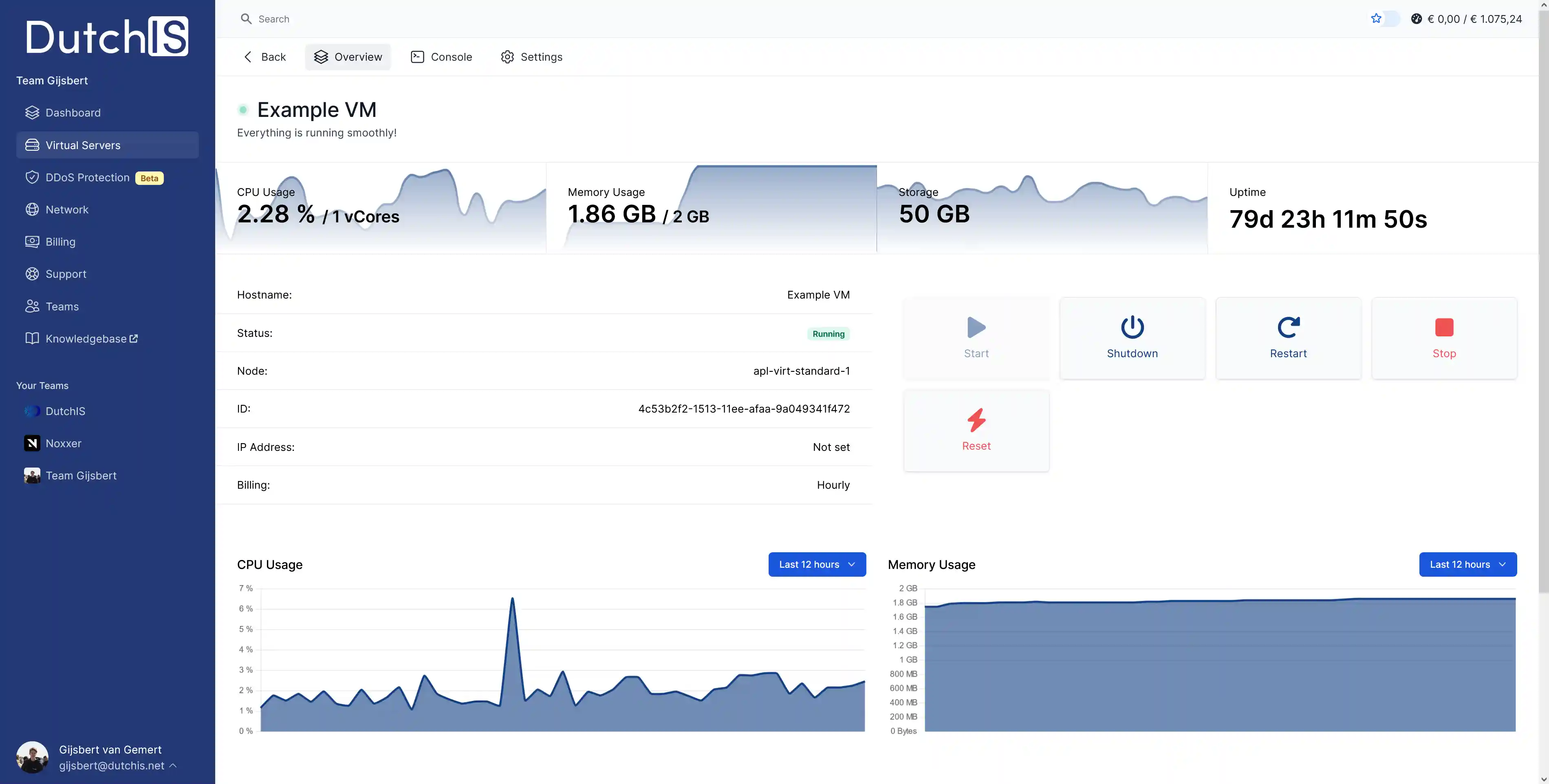 The overview page of a virtual server